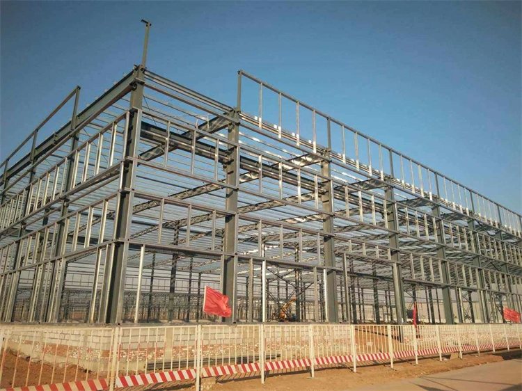 High Strength Prefabricated High Seismic Resistance Steel Structure Construction for Warehouse Workshop Hangar